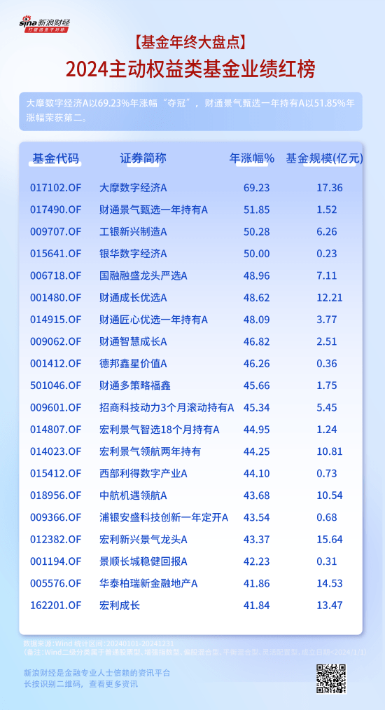 2024年主动权益基金业绩盘点及2025年投资展望：人工智能产业链成焦点