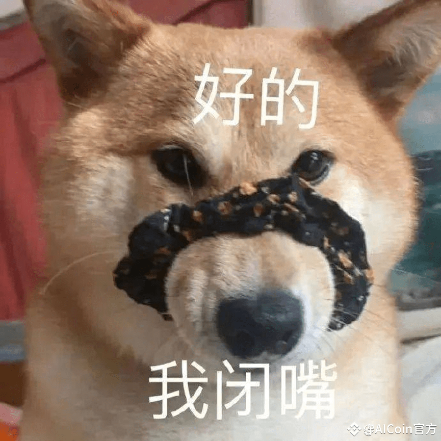 Binance 上币困境：残酷的救赎之路