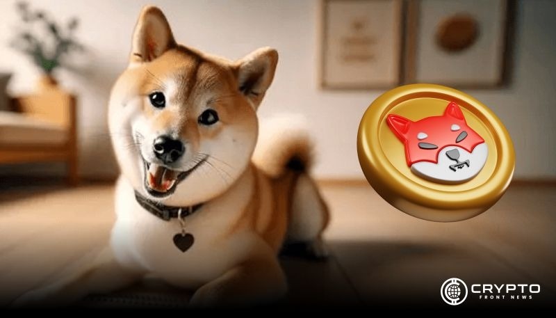 Shiba Inu：雄心勃勃的五年计划与惊人的销毁率