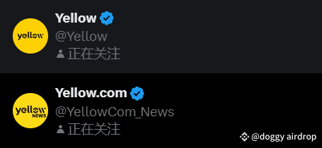 YELLOW NETWORK深度解析：稀有推特名、千万种子轮融资与参与策略