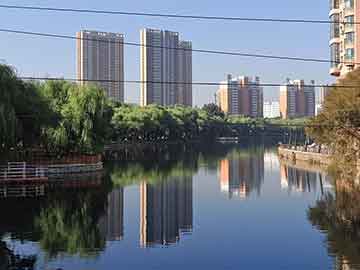 天阳科技业绩大跳水！海外扩张、AI豪赌，难掩财务造假？